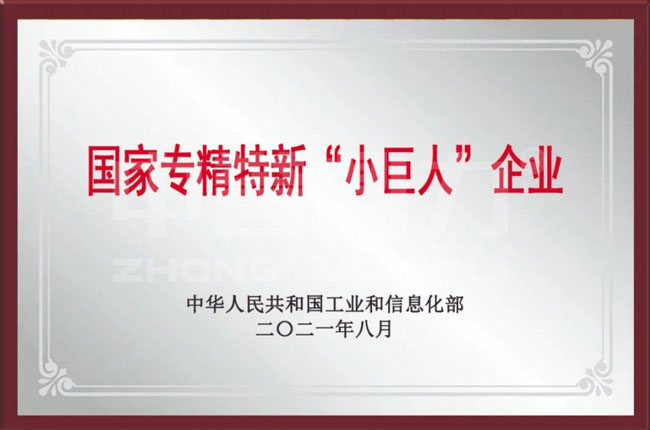 國家專精特新‘小巨人’企業